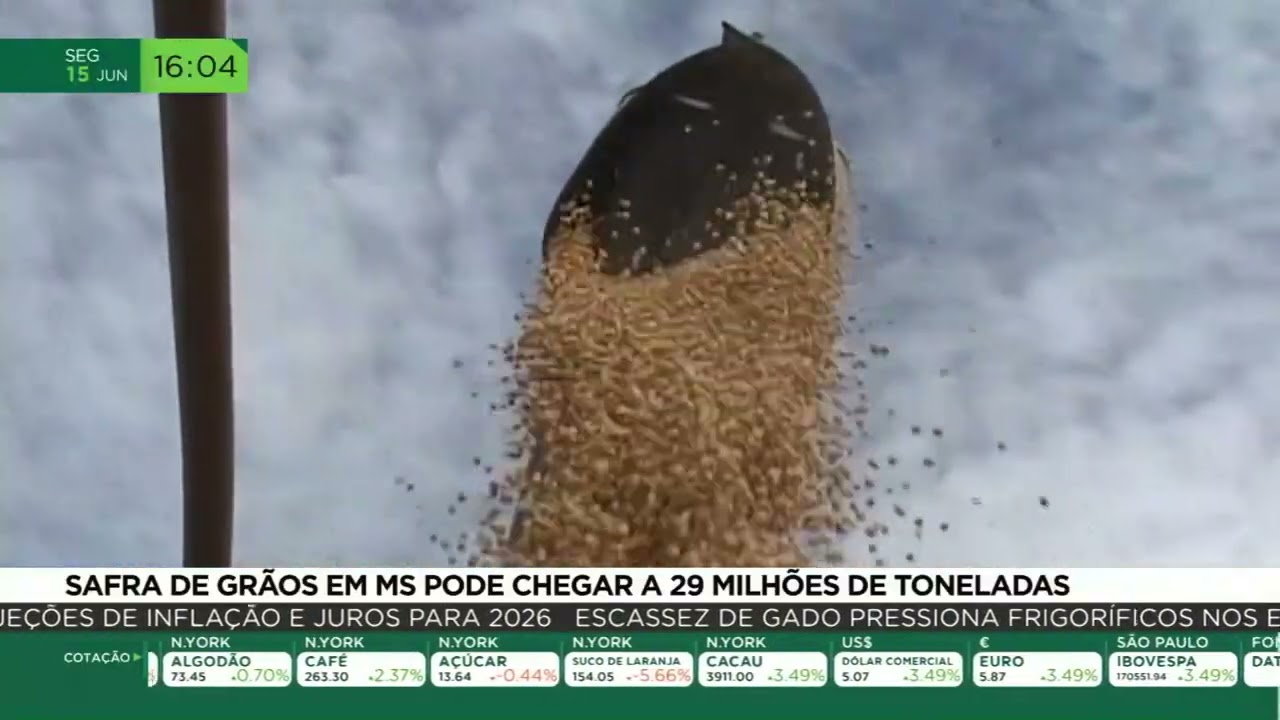 Safra de grãos em MS pode chegar a 29 milhões de toneladas