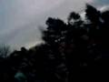videos de manif
