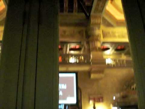 auckland sightseing tours 0 AUCKLAND GHOST TOURS