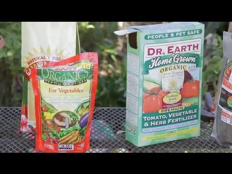 how to fertilize tomatoes