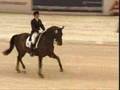 Horses Remix :)
