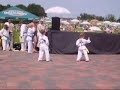 Kub�kova exhibice