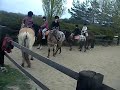 DSCF6074