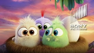 THE ANGRY BIRDS MOVIE - Hatchlings Mother's Day Greeting