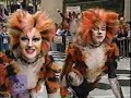 Cats - Macavity Cats - Macavity