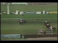 GRAN TITA HOMENAJE POR EL TRIUNFAL DEBUT DEL STUD HIPICOS