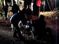 videos de Husky Racing at  Delamere Forest Night Rally