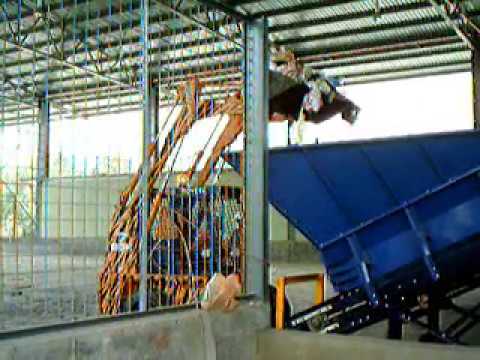 MSW Sorting , Recycling and Treatment - Malaysia