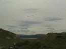 Great Orme 28.7.07 Great Orme 28.7.07