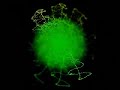Anti-Oppr�ssion remix /Musique zen exotique