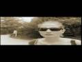 Anamorphic super 8 film test = Zoology