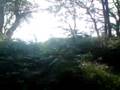 videos de drift