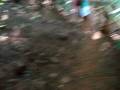 videos de Cascata em Ribeirao