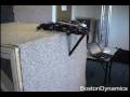 RiSE, boston dynamics' wall climbing robot