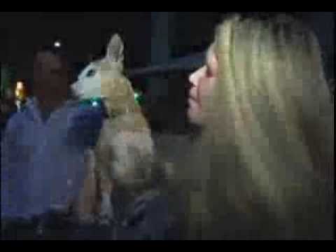 YouTube Preview Image