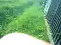 chmura dymu maluch elx  24ps