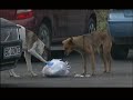 1/2 Bucharest Documentary 2009 Nicolae Ceauşescu