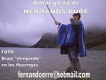Amargo licor - Hermanos Bure