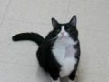 videos de Princess Fancy Pants