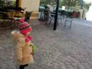 FEEDING BIRDS