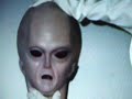 alien-autopsy-film.html