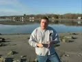Dog Training - How to get your dog to come back when called