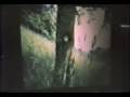 George Green - Laser Gun - Alien Face Photo
