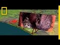 dtv thumbnail