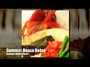 Addiction Treatment at Summer House Addiction Treatment at Summer House