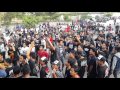 Rebellion Rose - Setara (Bunga Hitam Cover)