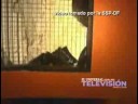 SSP Edita video de tragedia