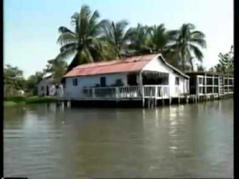 VIDEOS MUSICALES DE BACHATAS GRATIS videos musicales de bachatas gratis: