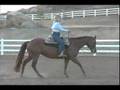 Dana Hokana Winning Strides -7 Steps to Slow Your Horse Down