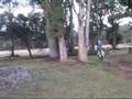 Tiarna && Holly Doing Cross Country :)
