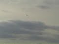 planeur planeur