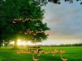 العنف الأسري وأثاره السيئة على المجتمع موسى حسن ميان