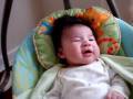 Swinging & Cooing