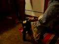 Rebb bottle feeding our baby pygmy goats! Rebb bottle feeding our baby pygmy goats!