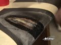 Aviso Surfboards Ding Repair Video (part 2) Aviso Surfboards Ding Repair Video (part 2)