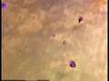 Entropia Universe - Obst gefunden :)