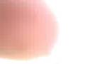 videos de MALANJKHAND