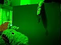 frightened snake flies