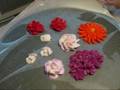 Hydrangeas, Gerber Daisies, and air drying the flowers