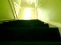 Shih Tzu Coming Down Stairs
