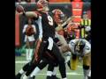 Ballad of the Bengals by Ryan Parker 
