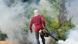 Vacunación contra la Fiebre Amarilla en Monterrey