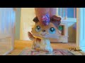 LPS: Pie
