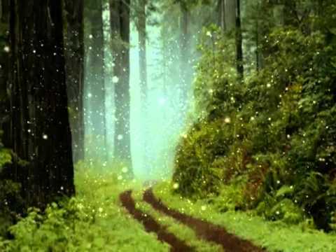 affirmations - This is a compilation of several positive affirmations, meditation, visualization, and affirmations. There is also a ho'oponopono segment. The order they are...