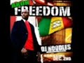 Akon Freedom - Birthmark - New 2008