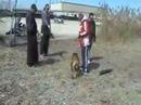 Becan going to training 1st time